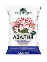 азалия