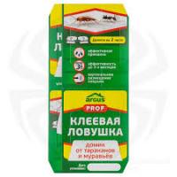 Без названия (13)